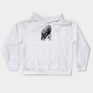 Marmoset Kids Hoodie